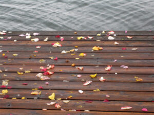 Blüten auf Steg am Wasser